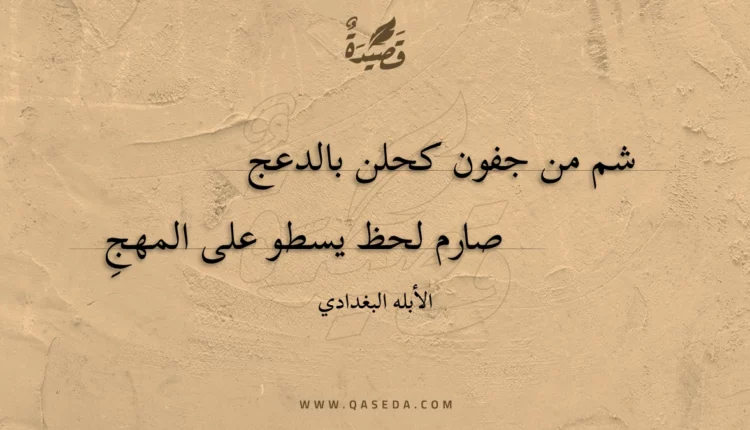 قصيدة شم من جفون كحلن بالدعج