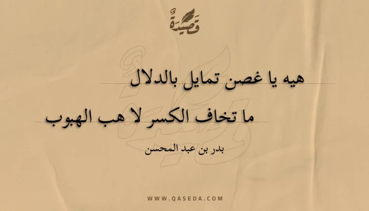 قصيدة شمس الجمال