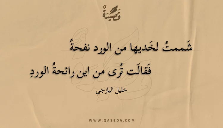 قصيدة شممت لخديها من الورد نفحة