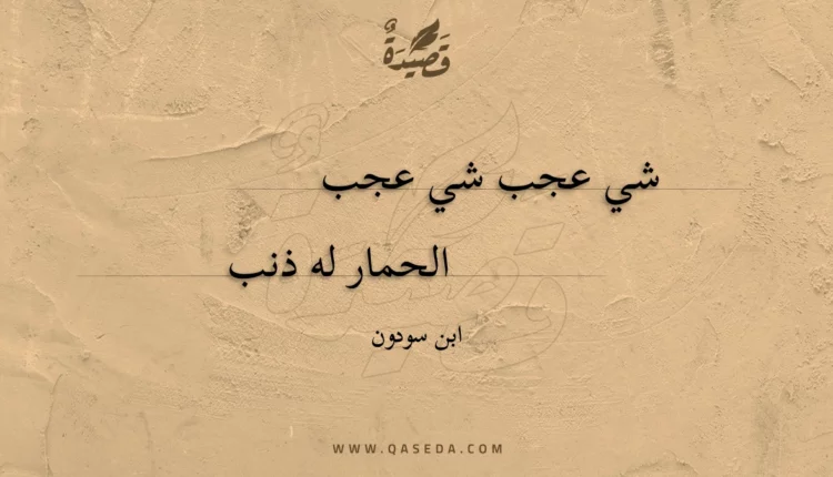 قصيدة شي عجب شي عجب
