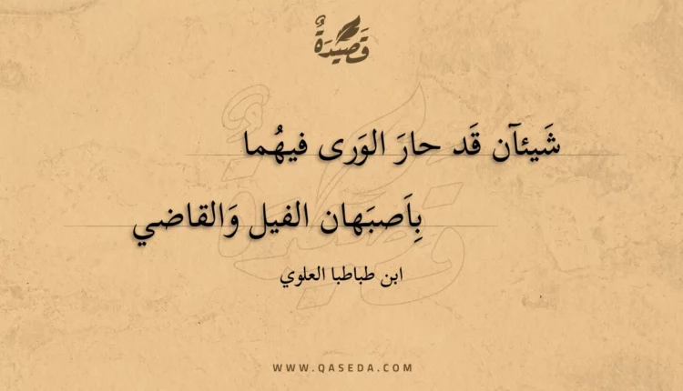 قصيدة شيئآن قد حار الورى فيهما