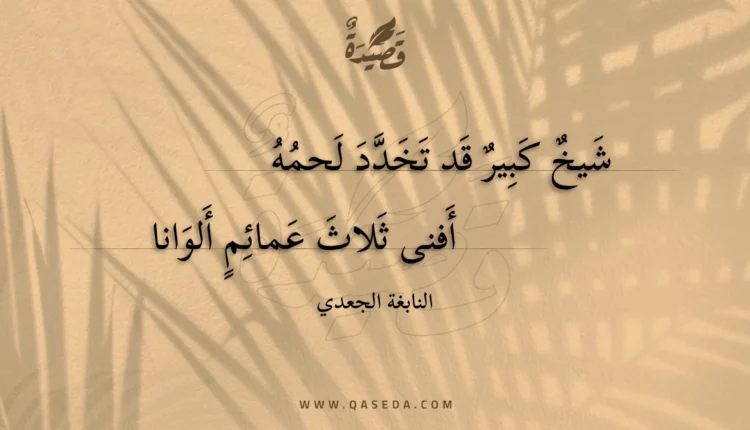 قصيدة شيخ كبير قد تخدد لحمه