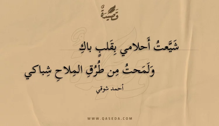 قصيدة شيعت أحلامي بقلب باك