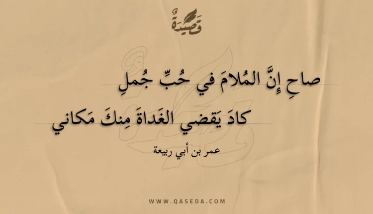 قصيدة صاح إن الملام في حب جمل