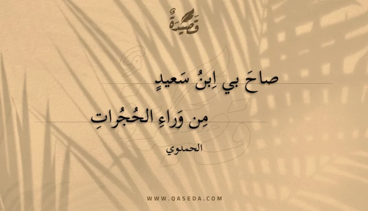 قصيدة صاح بي ابن سعيد