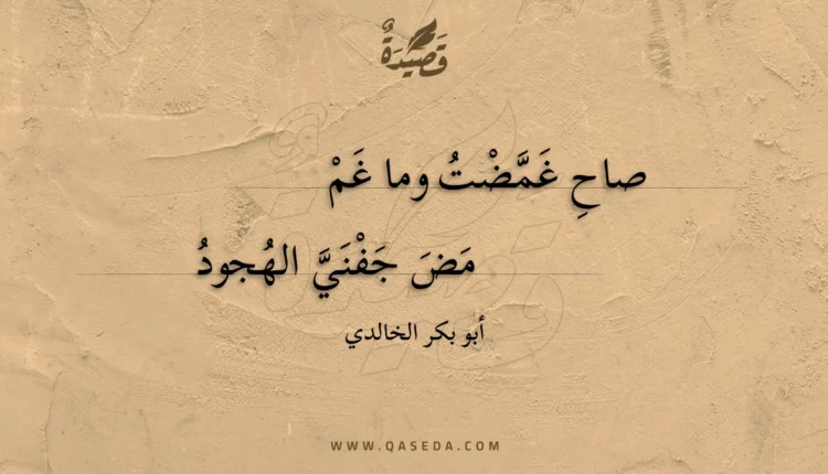 قصيدة صاح غمضت وما