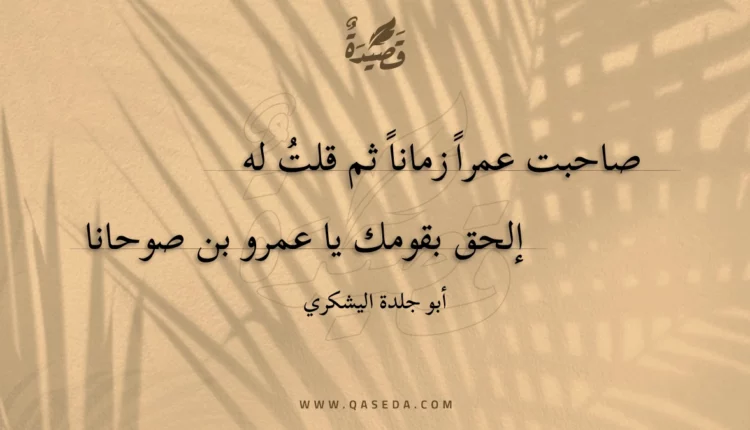 قصيدة صاحبت عمرا زمانا ثم قلت له