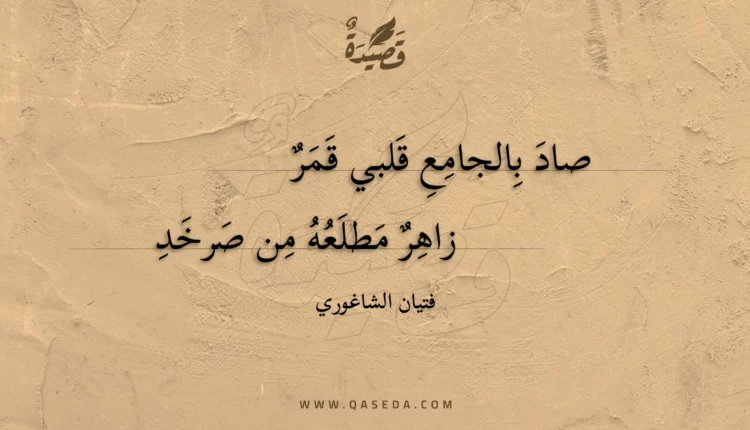 قصيدة صاد بالجامع قلبي قمر