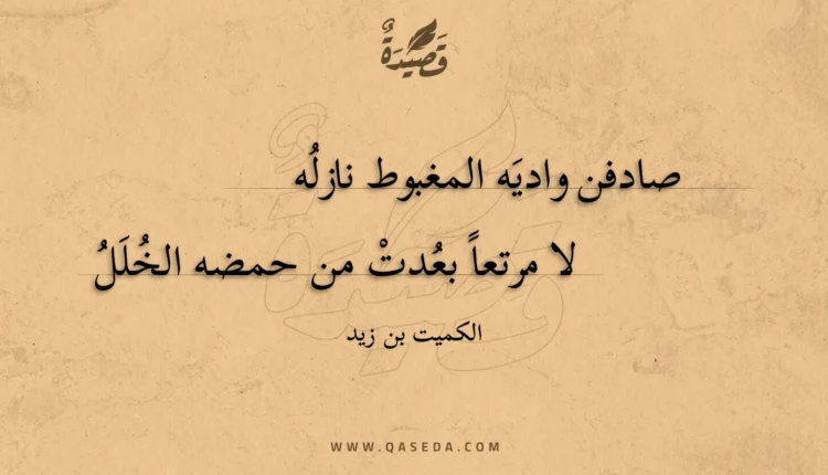 قصيدة صادفن واديه المغبوط نازله