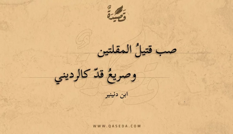 قصيدة صب قتيل المقلتين
