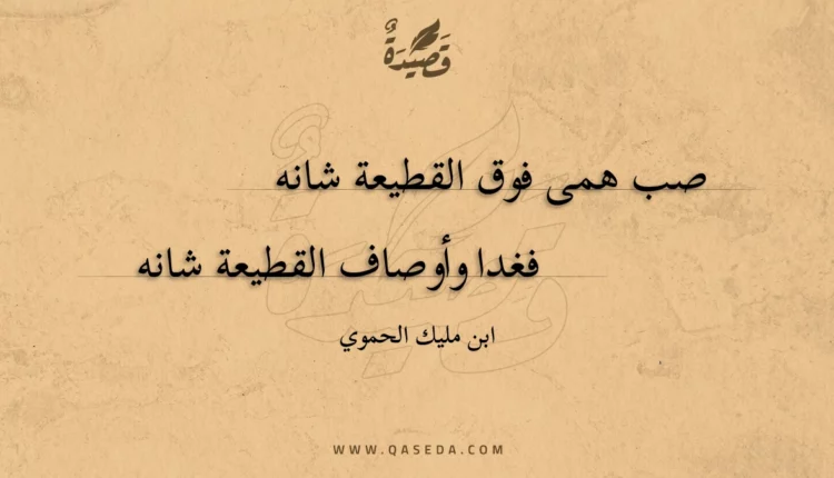 قصيدة صب همى فوق القطيعة شانه