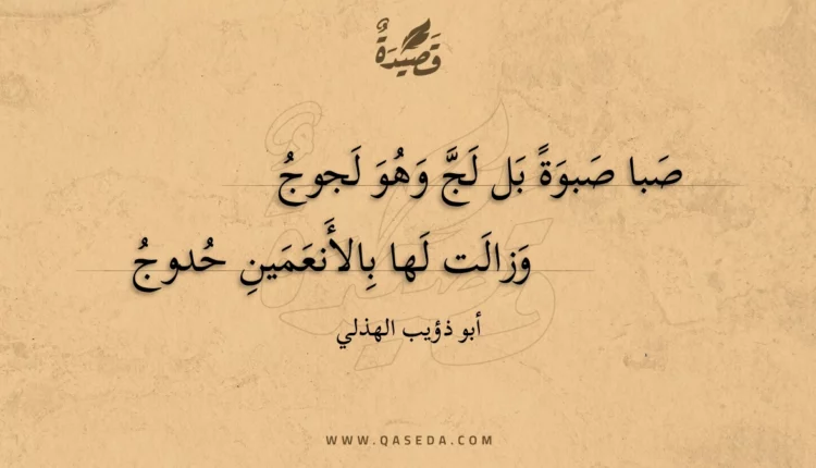 قصيدة صبا صبوة بل لج وهو لجوج