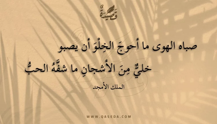قصيدة صباه الهوى ما أحوج الخلو أن يصبو