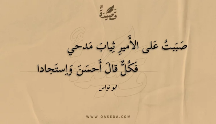 قصيدة صببت على الأمير ثياب مدحي