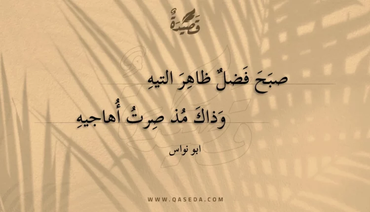قصيدة صبح فضل ظاهر التيه