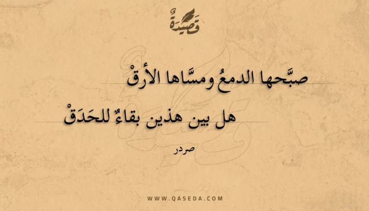 قصيدة صبحها الدمع ومساها الأرق