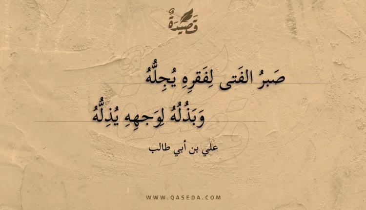 قصيدة صبر الفتى لفقره يجله