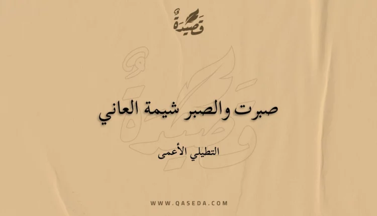 قصيدة صبرت والصبر شيمة العاني