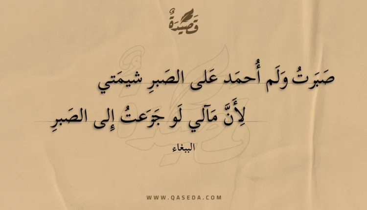 قصيدة صبرت ولم أحمد على الصبر شيمتي