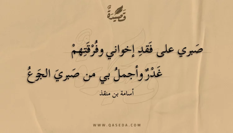 قصيدة صبري على فقد إخواني وفرقتهم
