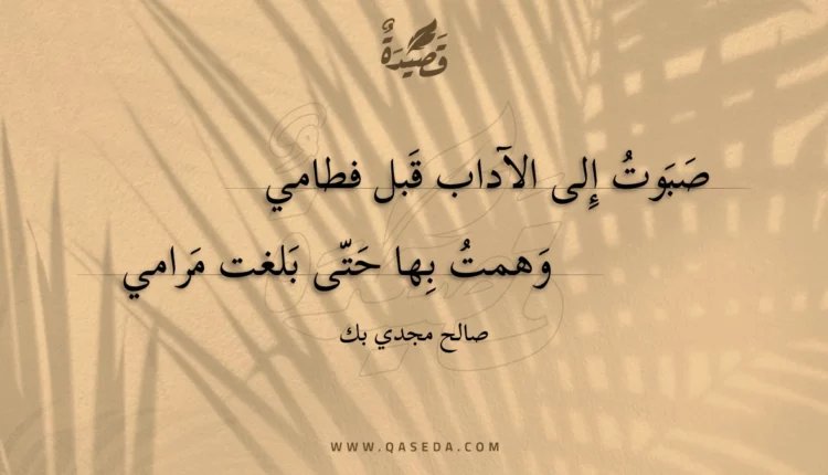 قصيدة صبوت إلى الآداب قبل فطامي
