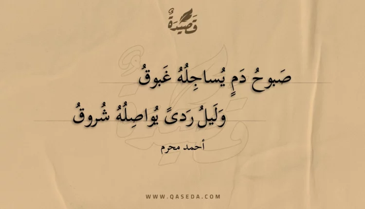 قصيدة صبوح دم يساجله غبوق