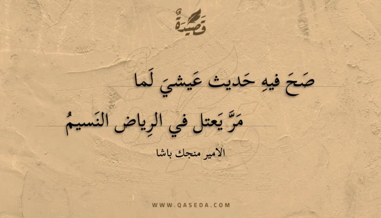 قصيدة صح فيه حديث عيشي لما