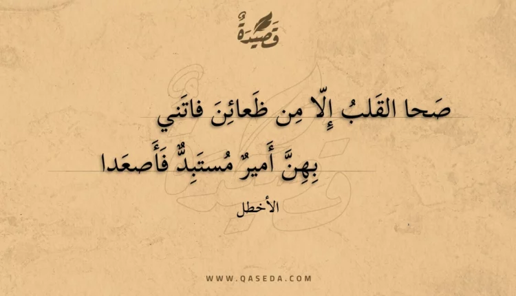 قصيدة صحا القلب إلا من ظعائن فاتني
