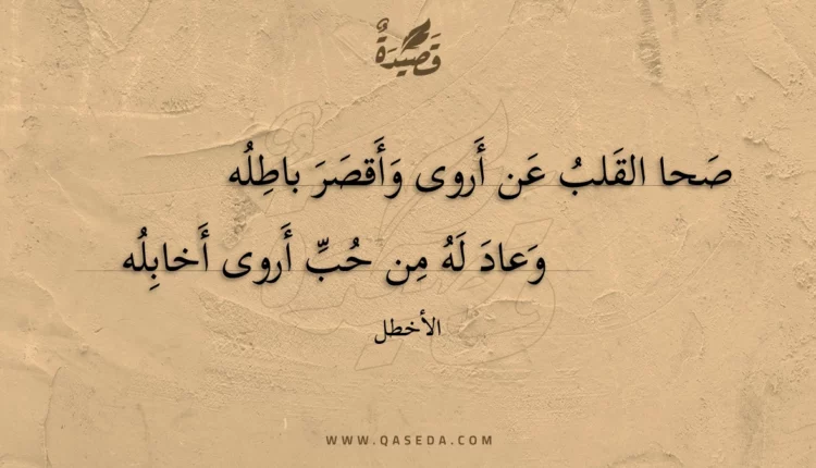 قصيدة صحا القلب عن أروى وأقصر باطله