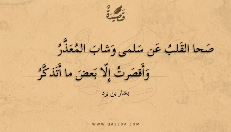 قصيدة صحا القلب عن سلمى وشاب المعذر