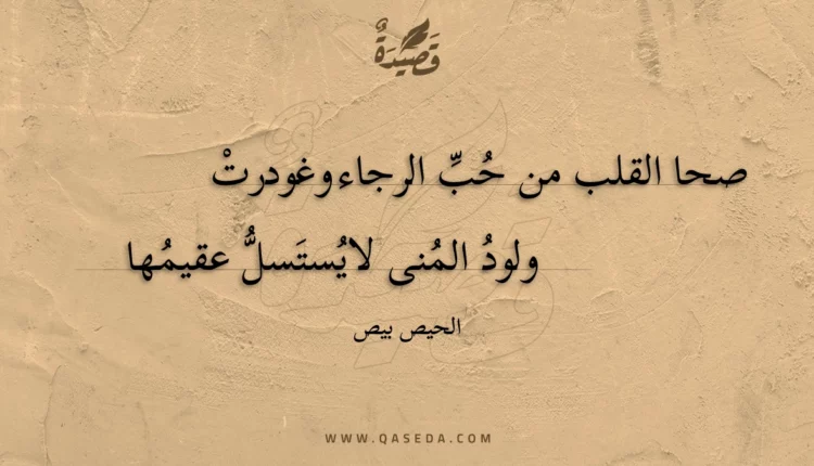 قصيدة صحا القلب من حب الرجاء وغودرت