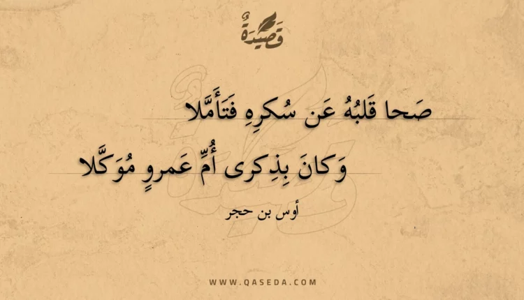قصيدة صحا قلبه عن سُكره فتأملا