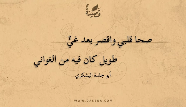 قصيدة صحا قلبي واقصر بعد غي