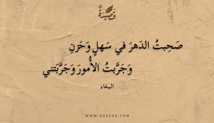 قصيدة صحبت الدهر في سهل وحزن