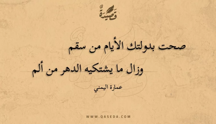 قصيدة صحت بدولتك الأيام من سقم