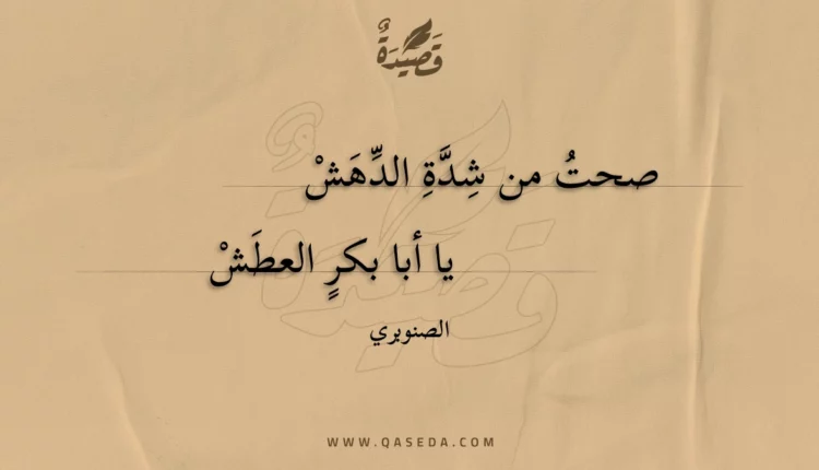 قصيدة صحت من شدة الدهش