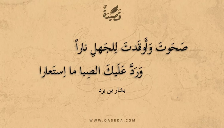 قصيدة صحوت وأوقدت للجهل نارا
