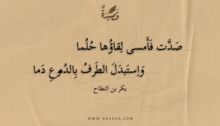 قصيدة صدت فأمسى لقاؤها حلما