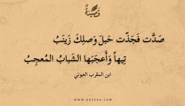 قصيدة صدت فجذت حبل وصلك زينب