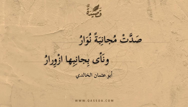 قصيدة صدت مجانبة نوار