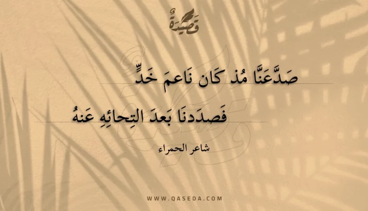 قصيدة صدعنا مذ كان ناعم خد
