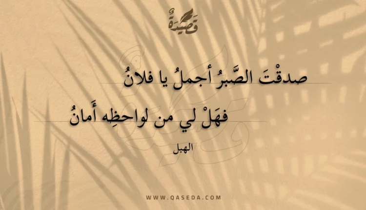 قصيدة صدقت الصبر أجمل يا فلان