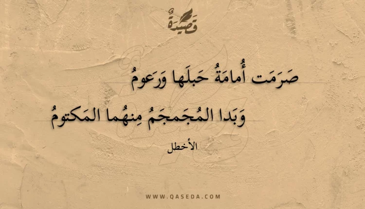 قصيدة صرمت أمامة حبلها ورعوم