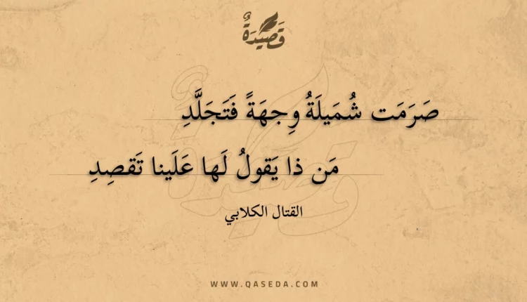 قصيدة صرمت شميلة وجهة فتجلد