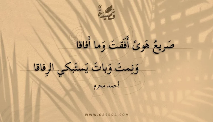 قصيدة صريع هوى أفقت وما أفاقا
