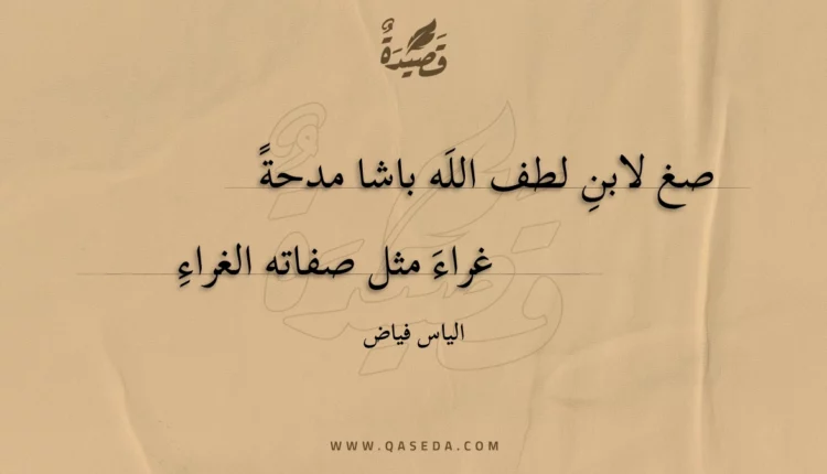 قصيدة صغ لابنِ لطف الله باشا مدحة