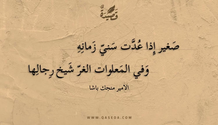 قصيدة صغير إذا عدت سني زمانه