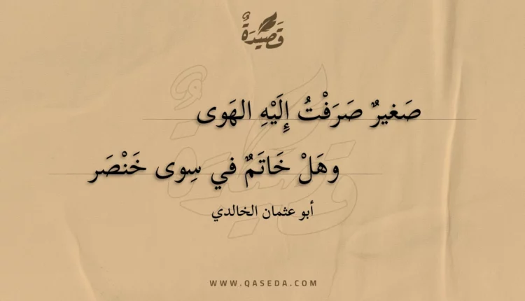قصيدة صغير صرفت إليه الهوى