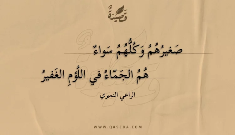 قصيدة صغيرهم وكلهم سواء