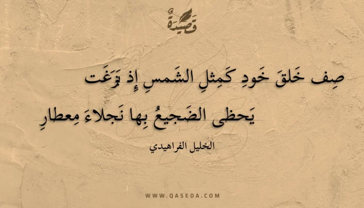 قصيدة صف خلق خود كمثل الشمس إذ بزغت